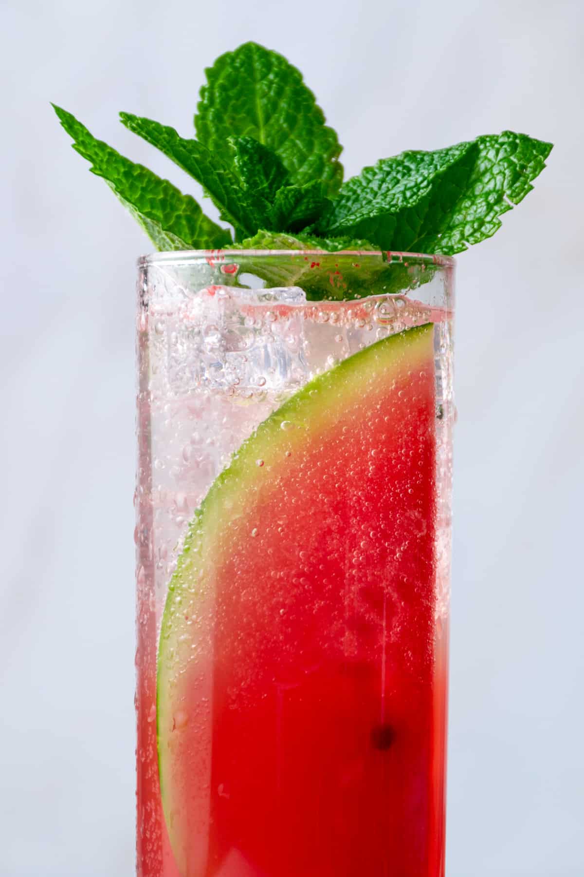 watermelon mojito