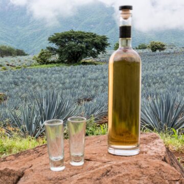 how is tequila made